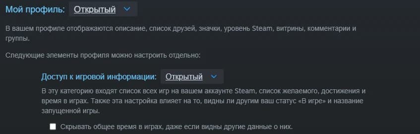 Настройки приватности Steam: «Доступ к игровой информации» и галочка, которая скрывает общее время в играх