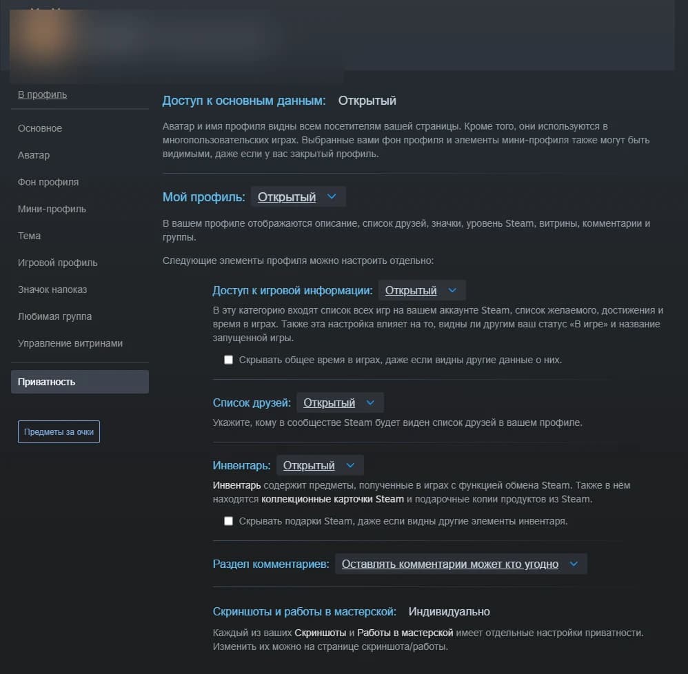 Страница «Приватность» в Steam: «Мой профиль: Открытый», «Раздел комментариев: Оставлять комментарии может кто угодно»